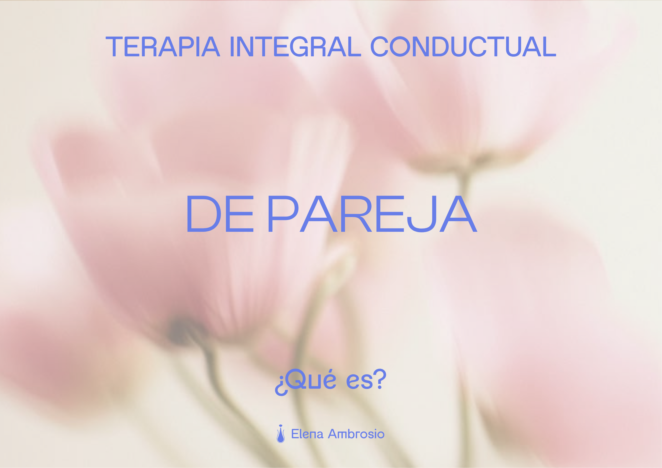 foto banner